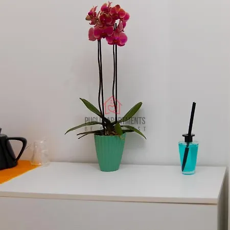 Appartement Yhellow - Puglia